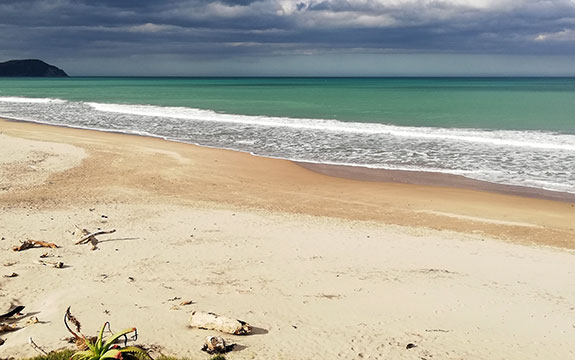 Waikanae Beach